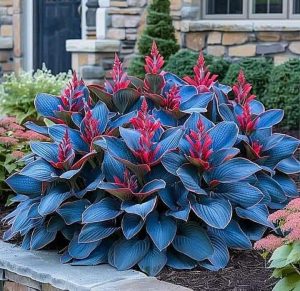 Хоста Грин Фог купить по цене от 669р. в интернет-магазине «Посадика» с доставкой почтой в в Агрызе и по всей России – [изображение №1].